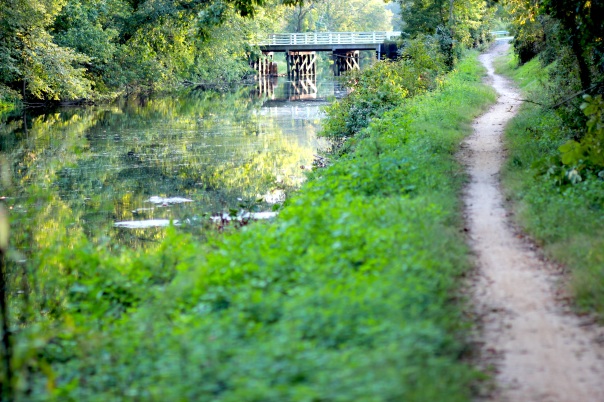 Photos from the end of summer on the D&R Canal.
